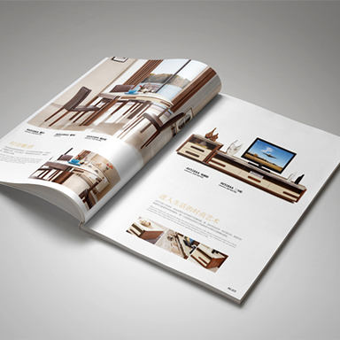 企業(yè)畫(huà)冊(cè)案例